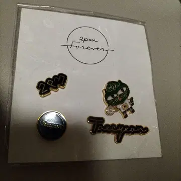 2PM 10th anniversary 택연 옥캣 핀 배지