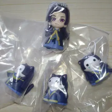 약사의 혼잣말 메가캣 데포피그 임시