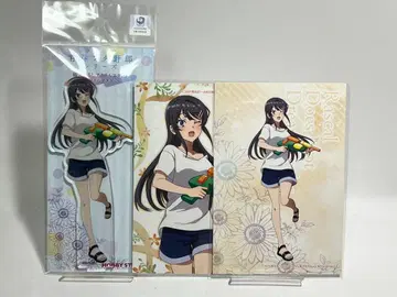 사쿠라지마 마이 아크릴 스탠드 엽서 2장 보크스 아키하바라 1
