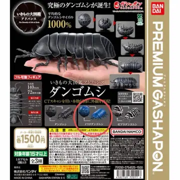 생물대도감 어드밴스 공벌레 이리도 공벌레