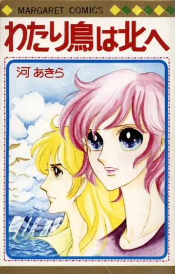 슈에이샤 마가렛 코믹스 카와 아키라 철새는 북으로