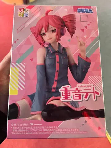 카사네테토 쵸코노세 프리미엄 피규어