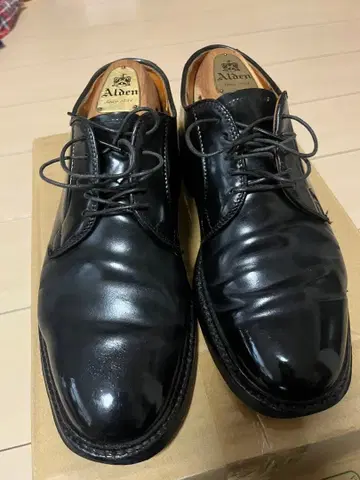 알든 9901 블랙 쉘 코도반