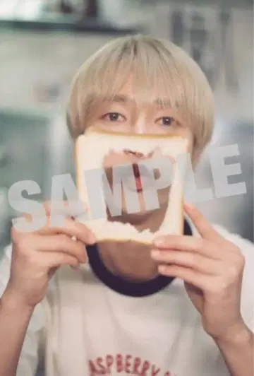 예성 [ 너라는 벚꽃 꽃잎이 내 마음에 내려앉았다. ] 엽서