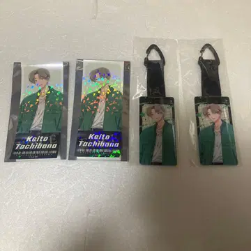 타몬 군 지금 어느 쪽!? 코토부키야 복권 타치바나 케이토 세트