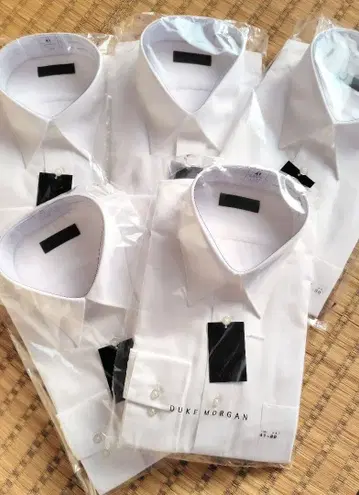 DUKE MORGAN 포멀 셔츠 사이즈 41