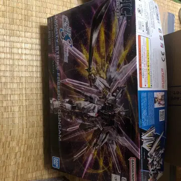 HG 마이티 스트라이크 프리덤 건담