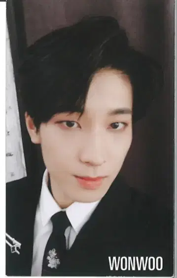 SEVENTEEN 이벤트 회장 한정판 WONWOO WE MAKE YOU