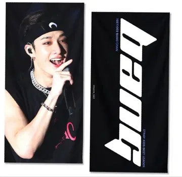 straykids 스키즈 슬로건 방찬