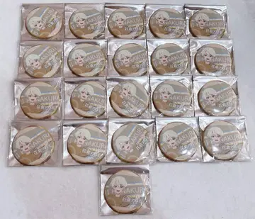 프리찬 프리티 시리즈 ARROWS 아유미 캔뱃지