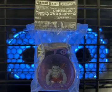 원피스 열매 마이크로 블리스터 참