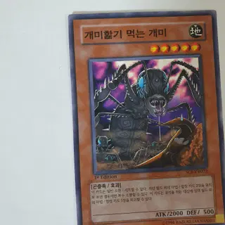 1ST, 노말]soi-kr022 개미핥기먹는개미 [무한의그림자] 유희왕