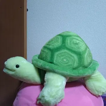 느릿느릿 육지거북 봉제 인형 그린