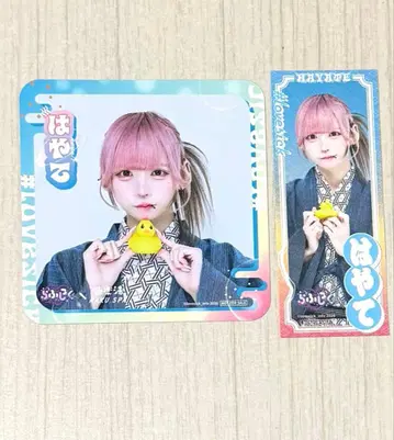 #러브시크릿 극락탕 하야테