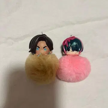 에이스테 이반 효나