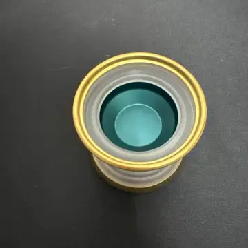 W1ld 아줄 다크 틸 그린 / 클리어 PC / 매트 골드 림