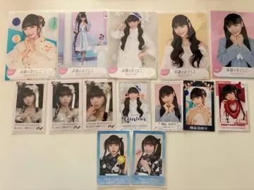 타카네노 나데시코 모미야마 히메리 브로마이드 미니 포토 카드 묶음 판매