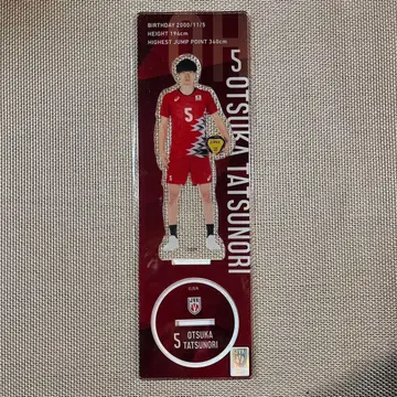 배구 남자 일본 대표 아크릴 스탠드 2024 오츠카 타츠노리