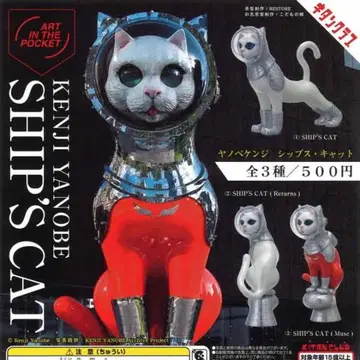 AIP 야노베 켄지 SHIP'S CAT 쉽스 캣 전 3종 컴프 세트