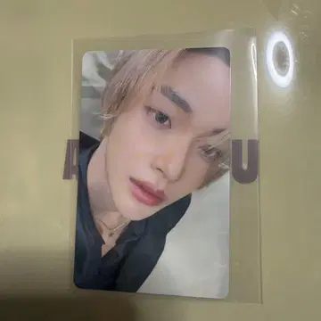 riize 도쿄돔 6000엔 특전 트레이딩 카드 원빈