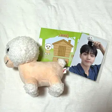 OMEGA X 혁 봉제 인형