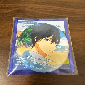 Free! hometown 캔뱃지 나나세 하루카