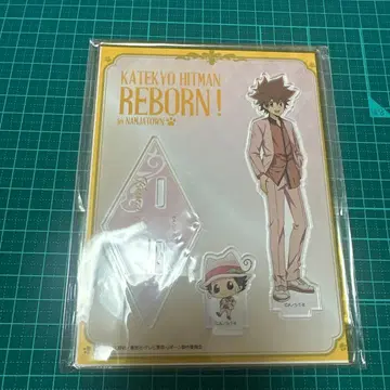 가정교사 히트맨 REBORN! 아크릴 스탠드 사와다 츠나요시 리본 난자