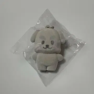 ZB1 제베원 건욱 캡슐 토이 플로키 거니니 가챠 gunini