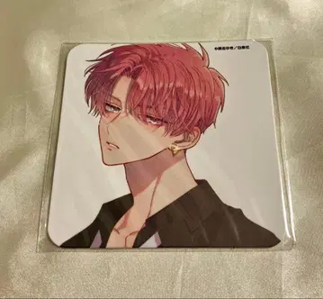 타몬 군 지금 어느 쪽!? 콜라보레이션 카페 코스터 타몬 군