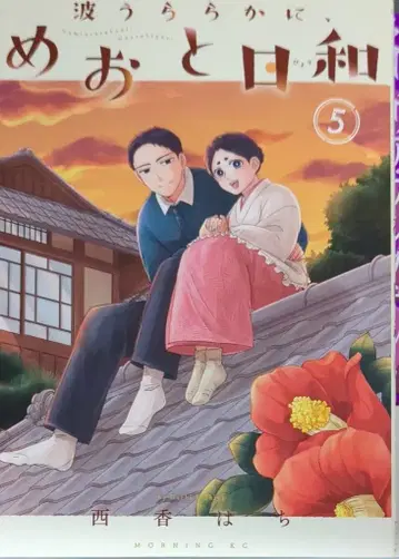 코단샤 모닝 KC 니시 카하치 !! 나미우라라카니, 메오토비요리 5