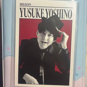 메종 요시노 단디 카드 요시모토 코레카