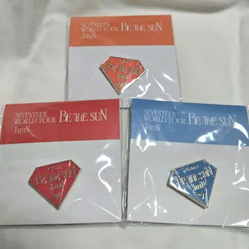 SEVENTEEN BE THE SUN PINS 컴프 세트
