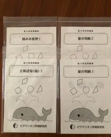 피그말리온 능력 육성 문제집 하마키즈 사고력