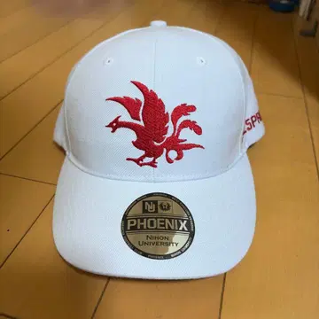 일본대학 미식축구부 캡