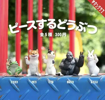 가챠 피스하는 동물 풀컴프