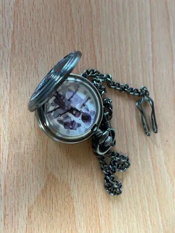 슈타인즈 게이트 회중시계