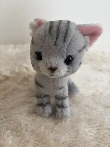 산레몬 kitten 키톤 봉제 인형 고양이
