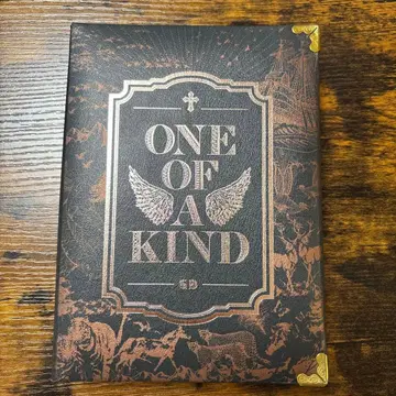 g-dragon ONE OF A KIND
