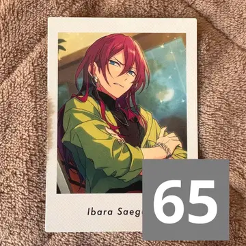 앙스타 사에구사 이바라 파샤츠 casual