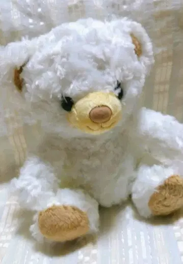 Hibiyakadan 곰 인형 화이트