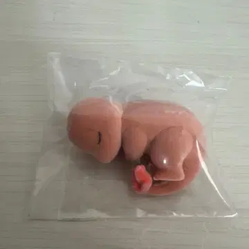 포켓몬 슬립 피규어 리자드