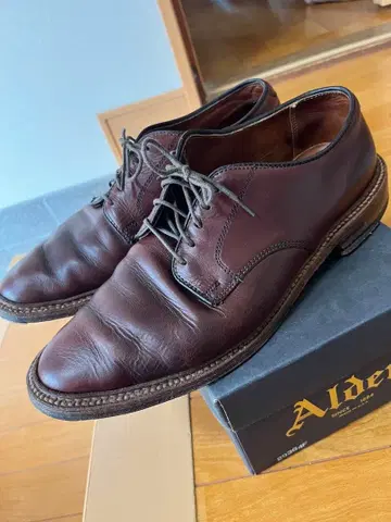 Alden 알든 플레인토 (29364F) 다크 브라운