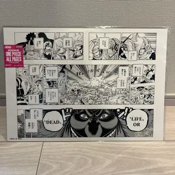 ONEPIECE BASE SHOP ALL PAGES 홀케이크 아일랜드 편