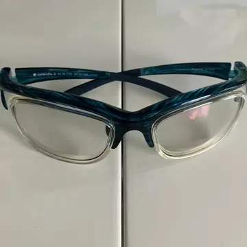 아이 블레어 꽃가루 가드