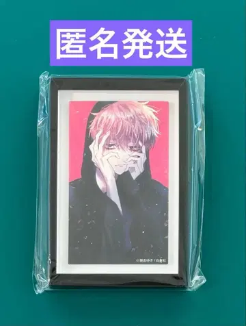 만복 가챠 타몬군 지금 어느 쪽!? C상 BIG 프레임형 마그넷C 미개봉