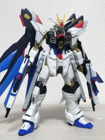 HGCE 스트라이크 프리덤 이식