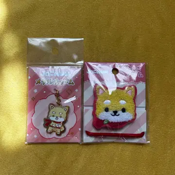 지오참 마메치 2세트