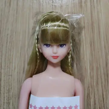 리카짱 캐슬 오타노시미 인형 시온 제니 프렌드