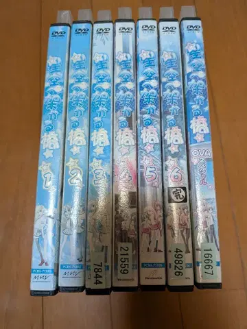 [전 6권 세트] 별하늘에 걸리는 다리 1~6+OVA 렌탈 제외