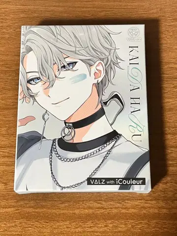 카이다 하루 아이섀도 팔레트